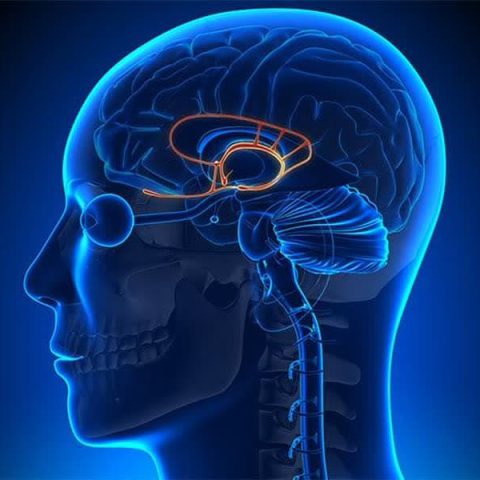 آسیب با تحریک آمیگدال